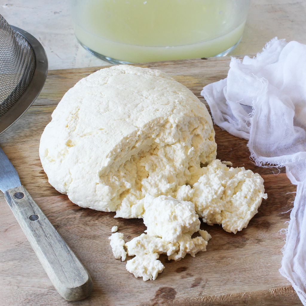 Ricotta Salata Where To Buy